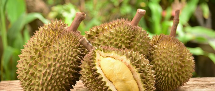 Tips memilih durian